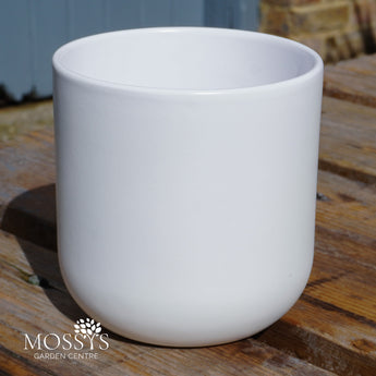Indoor Glazed Capri Pot | White (14cm)
