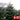 6-7ft (182-213cm) Non-Drop Nordmann Fir Tree