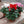 Load image into Gallery viewer, Winter Cyclamen (12cm)
