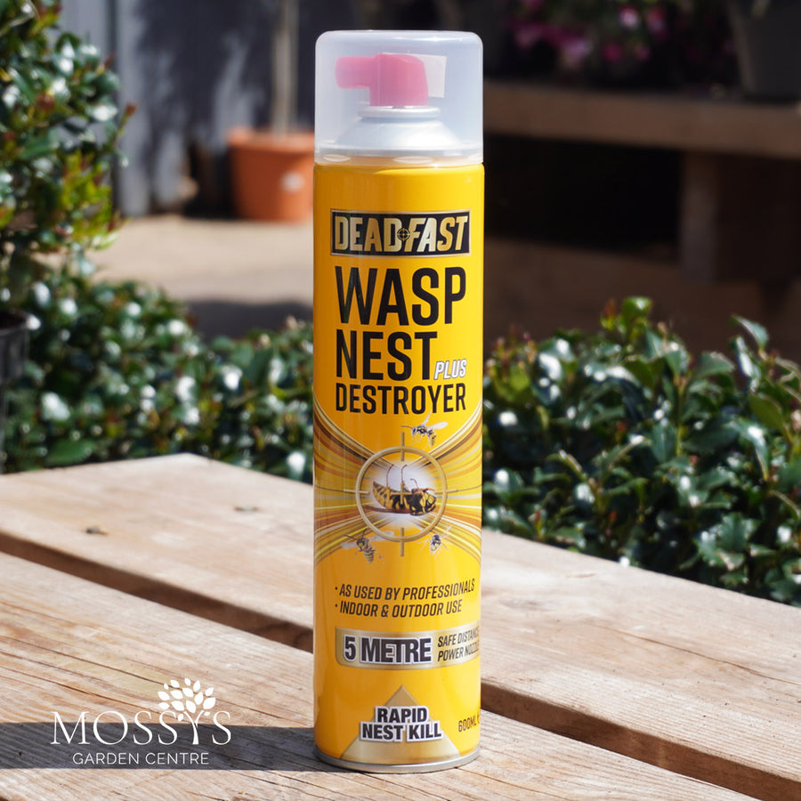 Deadfast Wasp Nest Destroyer Plus 600ml