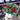red 25cm dianthus