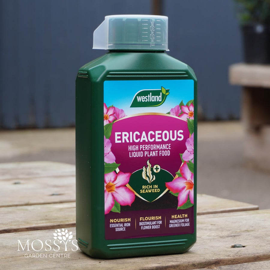 Westland Ericaceous Liquid Concentrated Feed 1L