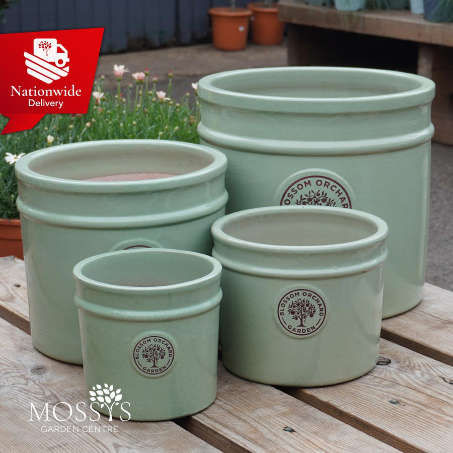 'Green' Heritage Style Blossom Orchard Frost Proof Cylinder Garden Plant Pots