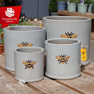 Grey bee kind bee pots set
