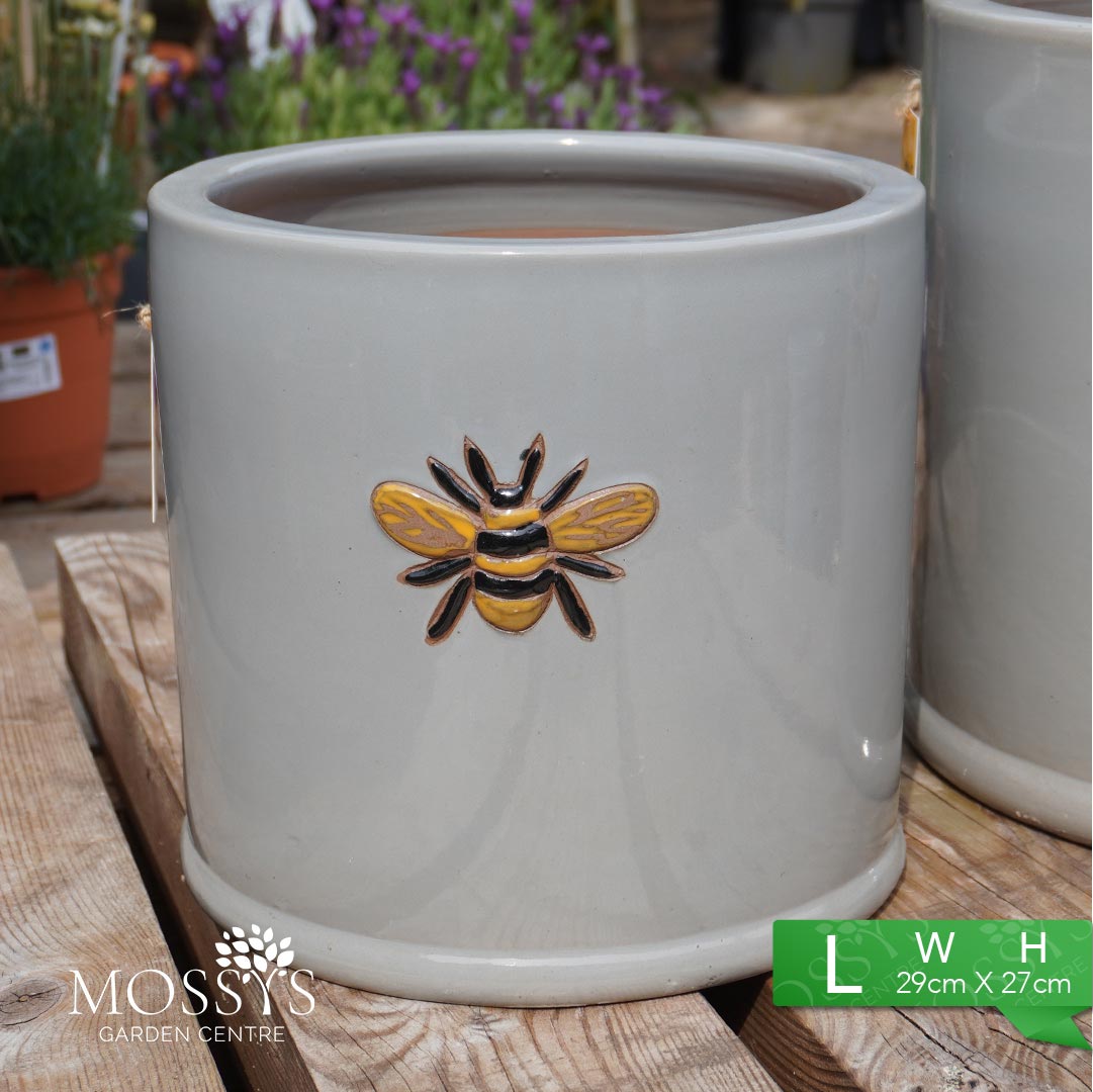 bumble bee plant pot Grey' Bee Pots Glazed Frost Proof Planters – Mossys Garden Centre