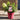 Hydrangea Paniculata 'Ground Breaker' 3L ruby