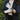 Kent & Stowe Navy Natural Bamboo Gloves Medium