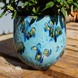 Indoor Glazed Maya Pot | Blue (16cm)