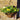 30cm Metal Wire Summer Hanging Basket yellow mix