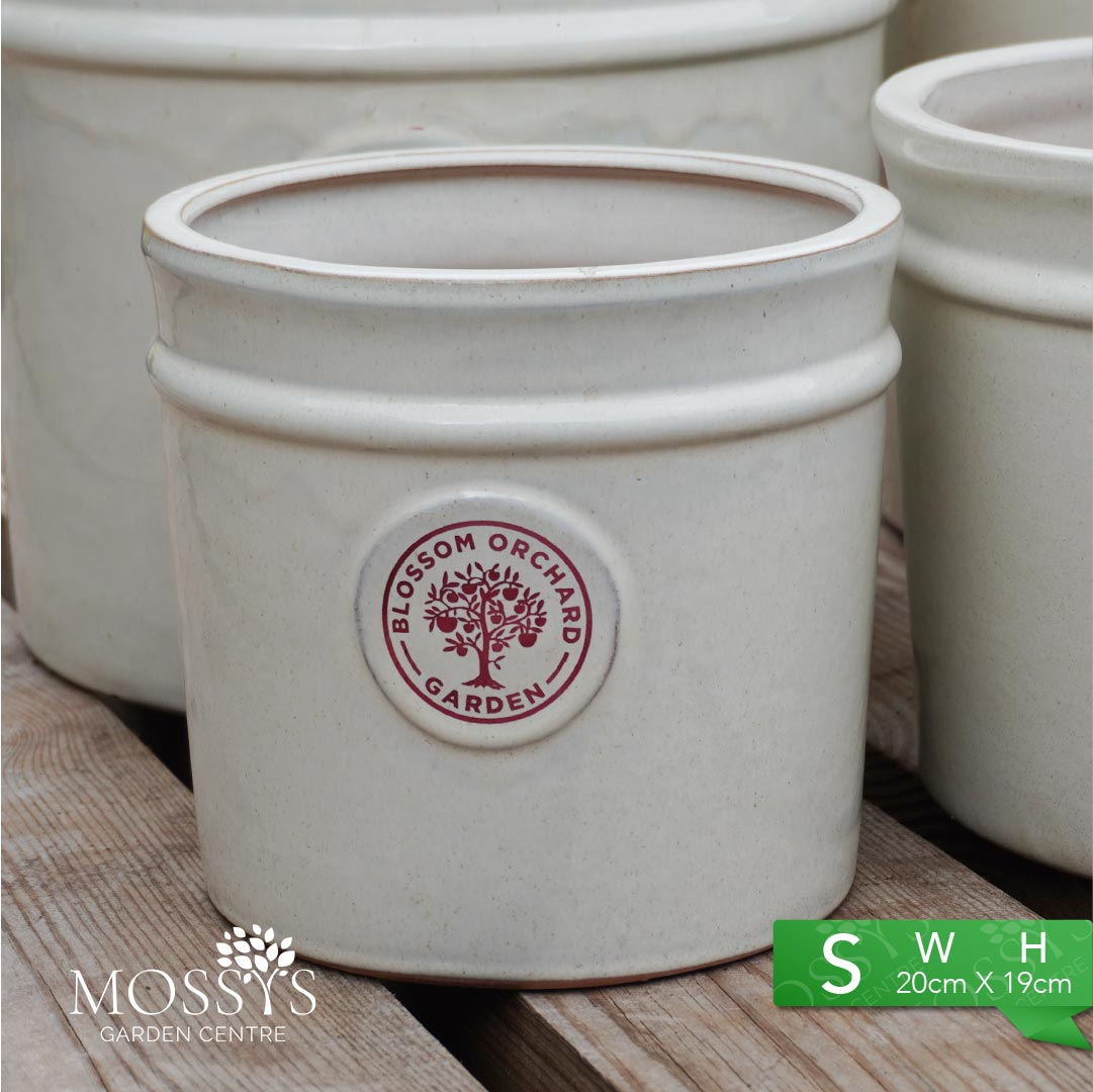 'White' Heritage Style Blossom Orchard Frost Proof Cylinder Garden Pla