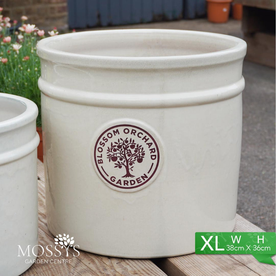 'White' Heritage Style Blossom Orchard Frost Proof Cylinder Garden Pla