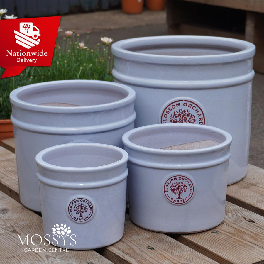 'Blue' Heritage Style Blossom Orchard Frost Proof Cylinder Garden Plan