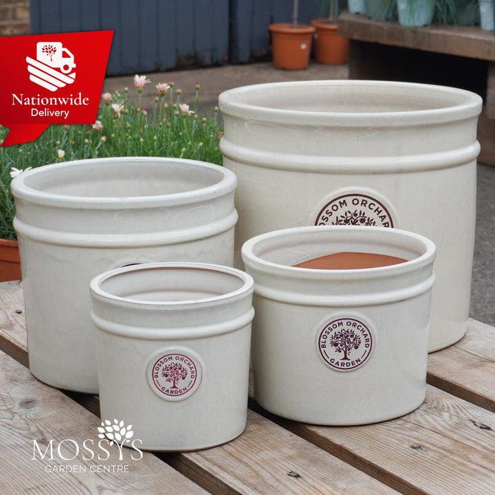 Blossom Orchard Pots Mossys Garden Centre