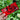 Mossys Garden Centre Gift Vouchers