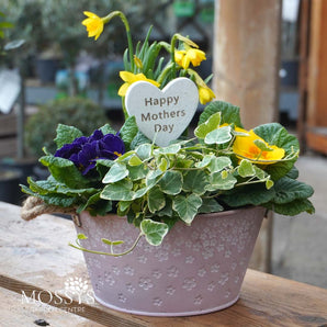 Mothers Day Planted Flower Bowl