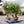 Load image into Gallery viewer, 3x Large Gnarled Olive Tree FREE Nationwide Shipping (130cm)
