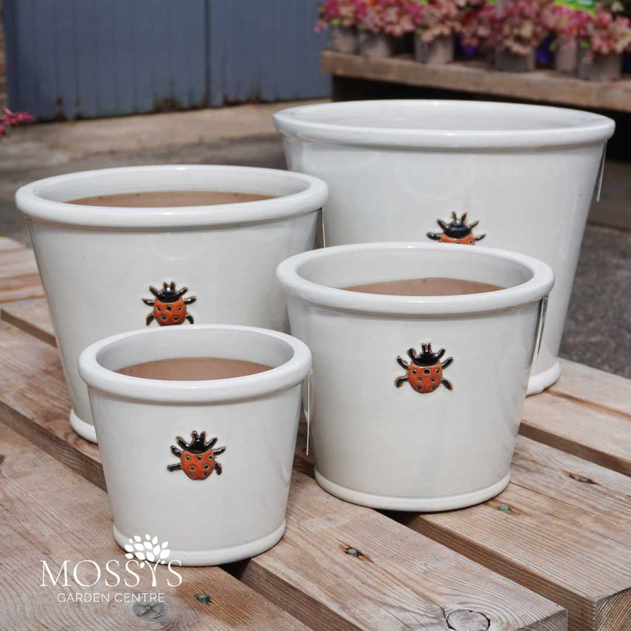 Orange Ladybird White Glazed Frost Proof Planter Pots