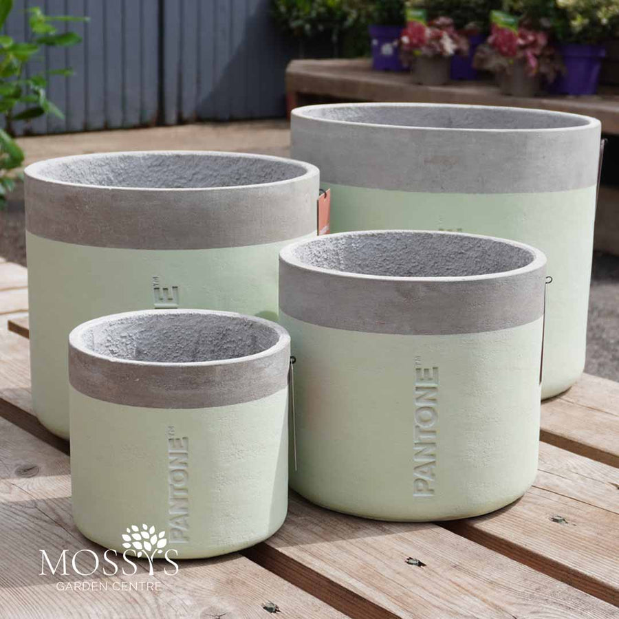 Pantone® Outdoor Garden Planter Pots | Green