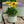 Load image into Gallery viewer, Pantone® Planters | Green Small &amp; Large Bundle
