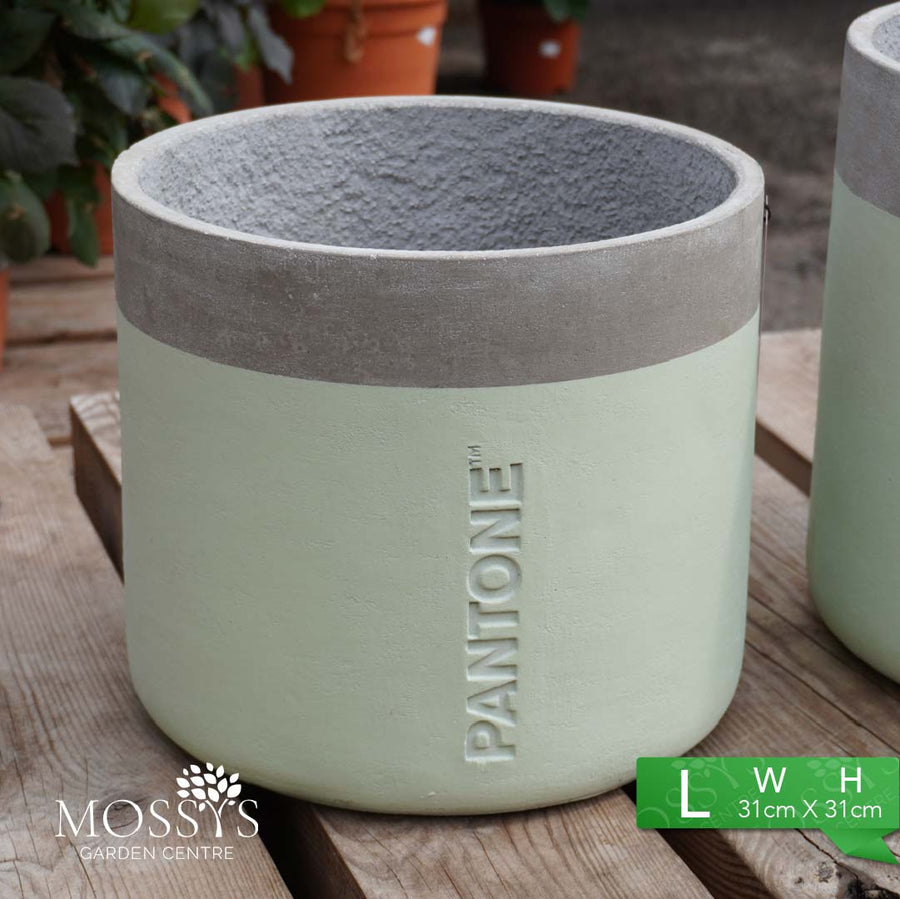 Pantone® Outdoor Garden Planter Pots | Green