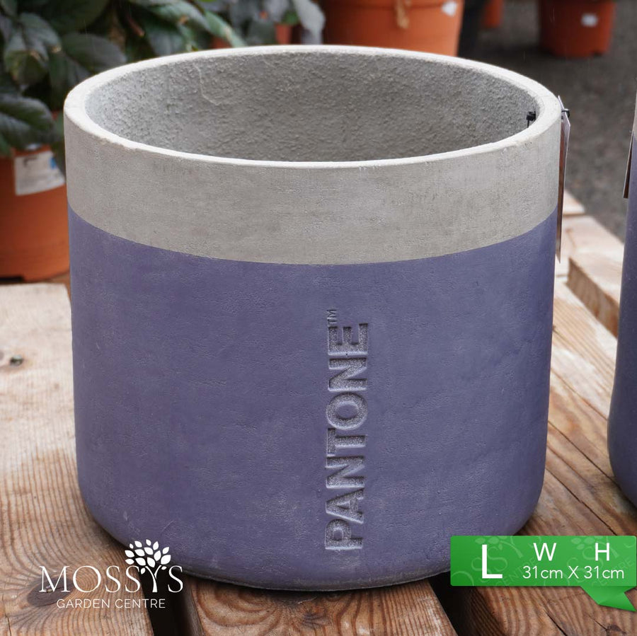 Pantone® Outdoor Garden Planter Pots Dark Blue Mossys Garden Centre