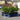 Photinia red robin 70x pallet