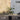 photinia 2-3ft plant
