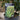10L (3-4ft) | Prunus Lusitanica Angustifolia 'Portuguese Laurel' tag
