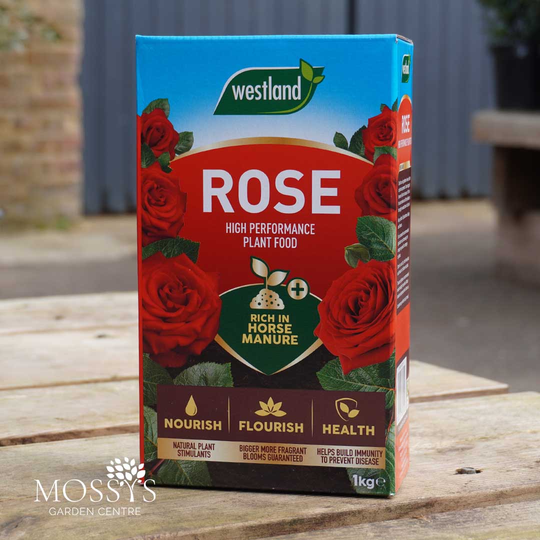 Westland Rose High Performance Plant Food 1kg – Mossys Garden Centre