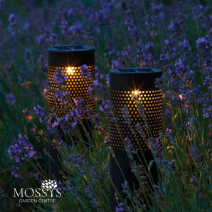 Solar Metal Bollard Light | Solar & Co