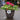 Instant Summer Planter (30cm)