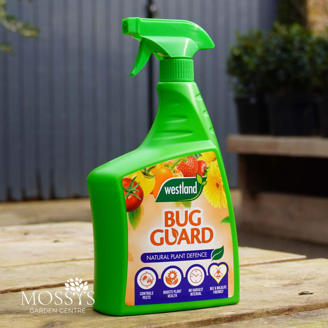 Insect Guard Label Westland Bug Guard Spray Bottle 800ml – Mossys Garden Centre