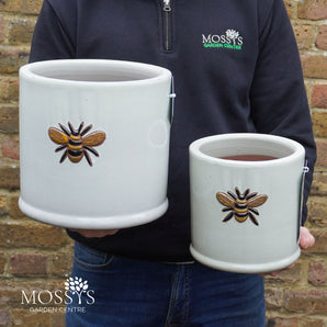 2x 'Creamy White' Bee Pots Frost Proof Planter Bundle
