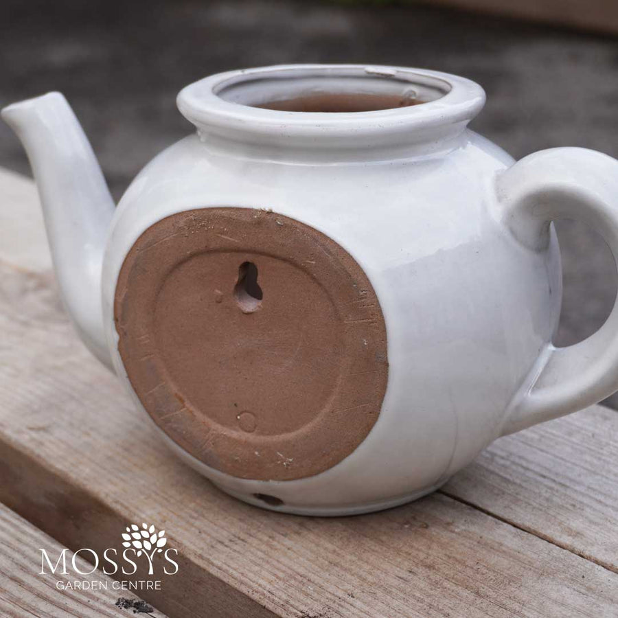 Bee Kind Wall Hanging Teapots | Creamy White