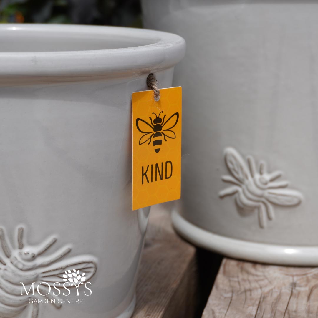 bumble bee plant pot Creamy White' Bee Kind Bumble Bee Glazed Pots Frost Proof Planters – Mossys Garden Centre
