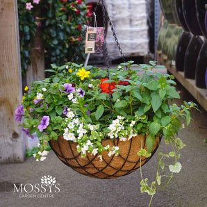 40cm Metal Wire Summer Hanging Basket