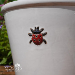 Red Ladybird White Glazed Frost Proof Planter Pots
