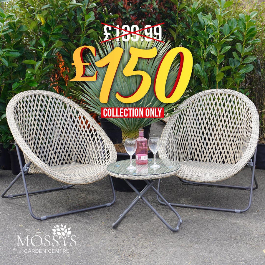 2 Foldable Rattan Lounger Chairs & Table & Set