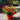 Dipladenia Hanging Basket (25cm)
