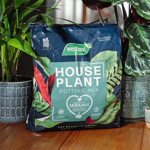Houseplant Potting Mix With Seramis 10L | Westland