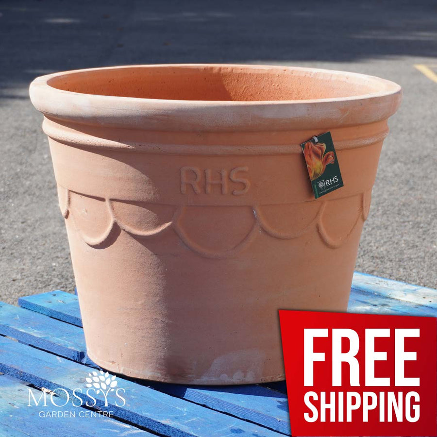 RHS Terracotta Loop Pot | 1x Extra Large (60cm X 45cm)
