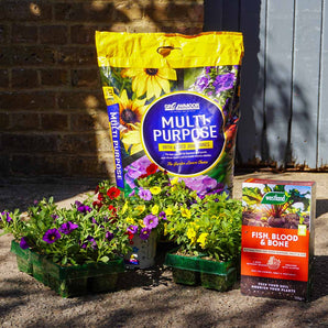 Million Blooms Basket Bundle