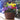 Mothers Day Planted Wicker Basket