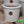 Load image into Gallery viewer, Orange Ladybird White Glazed Frost Proof Planter Pots

