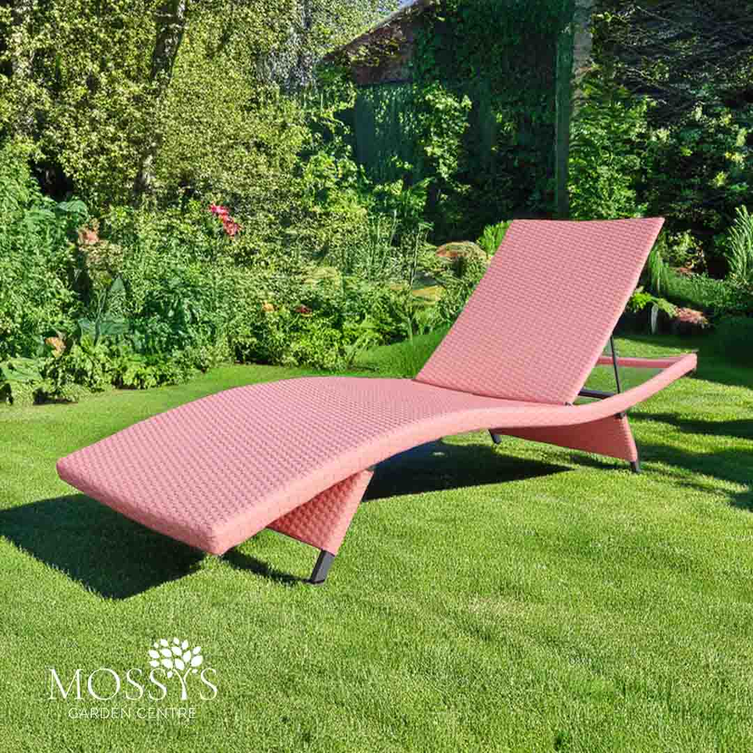 Pink Rattan Sun Loungers – Mossys Garden Centre