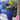 Mothers Day Planted Blue Flower Pot (30cm)