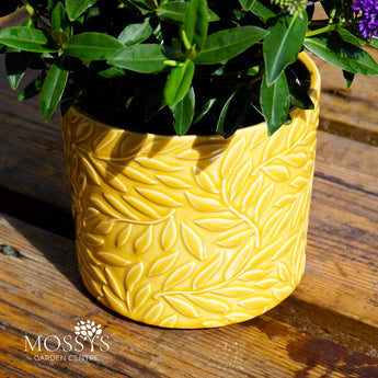 Indoor Glazed Sprig Pot | Yellow (16cm)