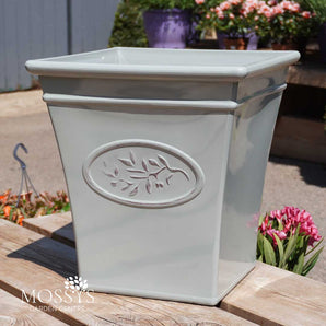 Lightweight Square Olive Pot