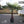 Load image into Gallery viewer, Eagle Palms &#39;Trachycarpus Fortunei&#39; (140cm)
