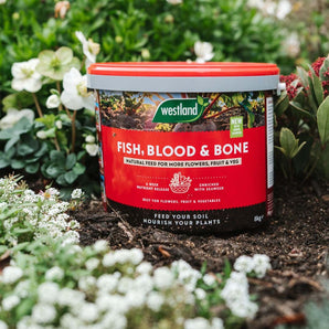 Fish, Blood & Bone 8kg Tub | Westland